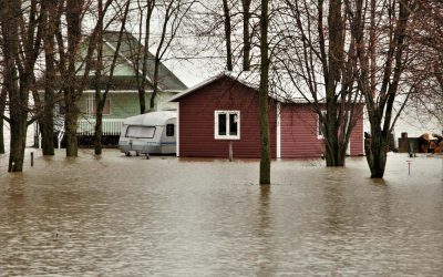 Rebuilding After the Storm: Creating a Resilient Home with Music and Cinema
